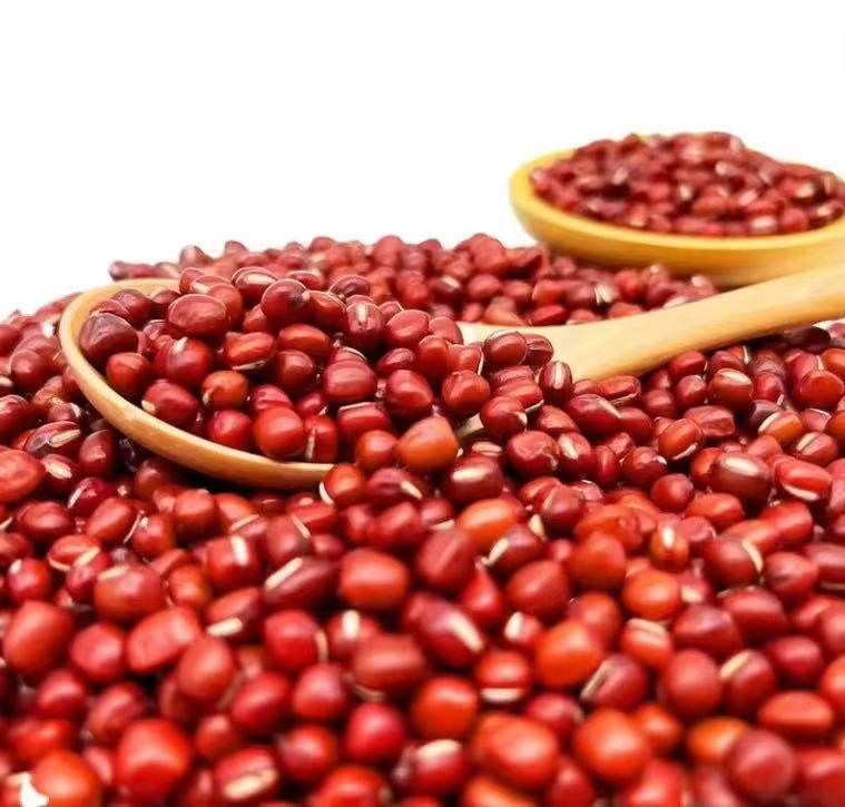 RED BEAN